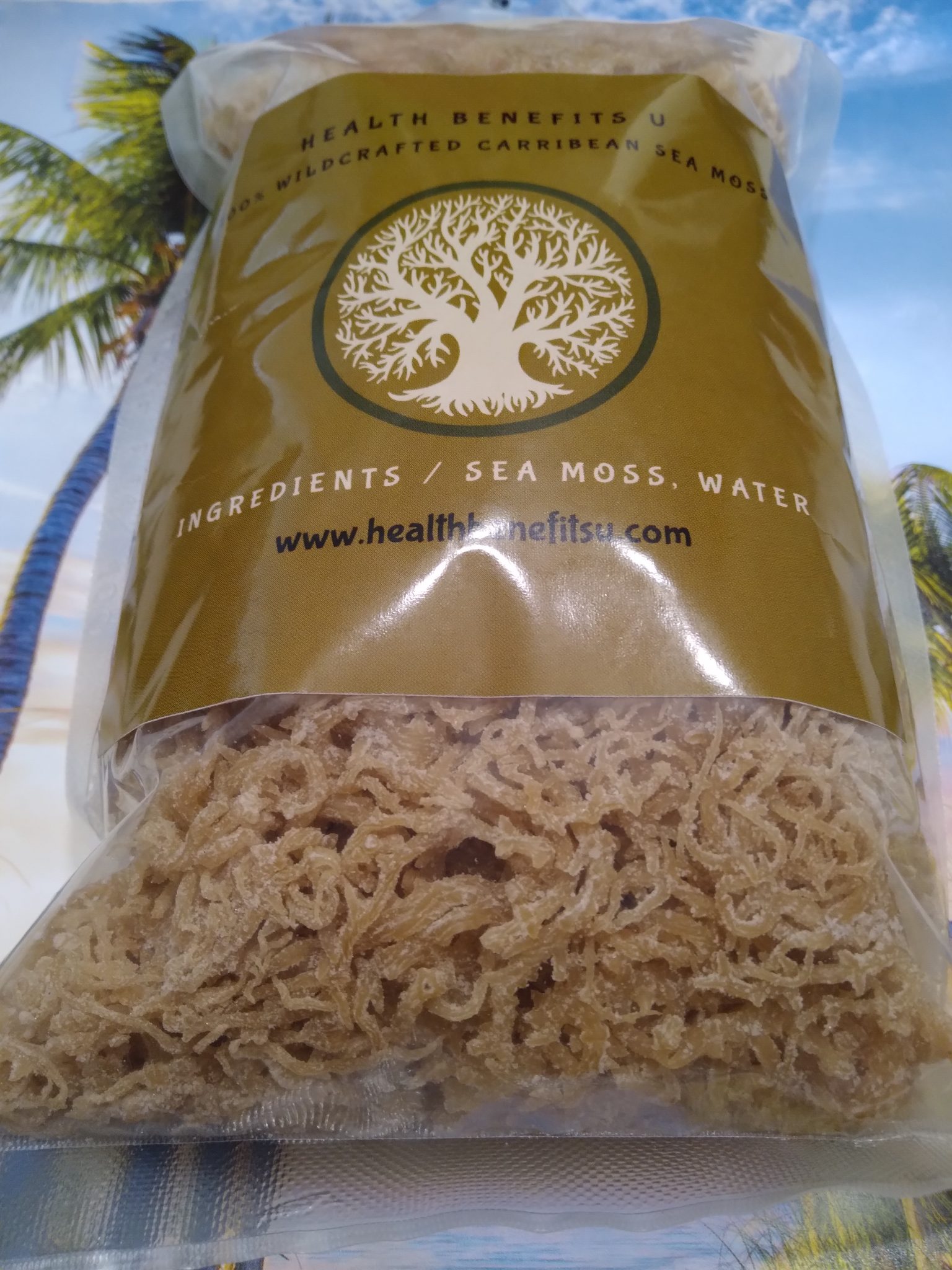 WILD CRAFTED ORGANIC SEA MOSS RAW Health Benefits U