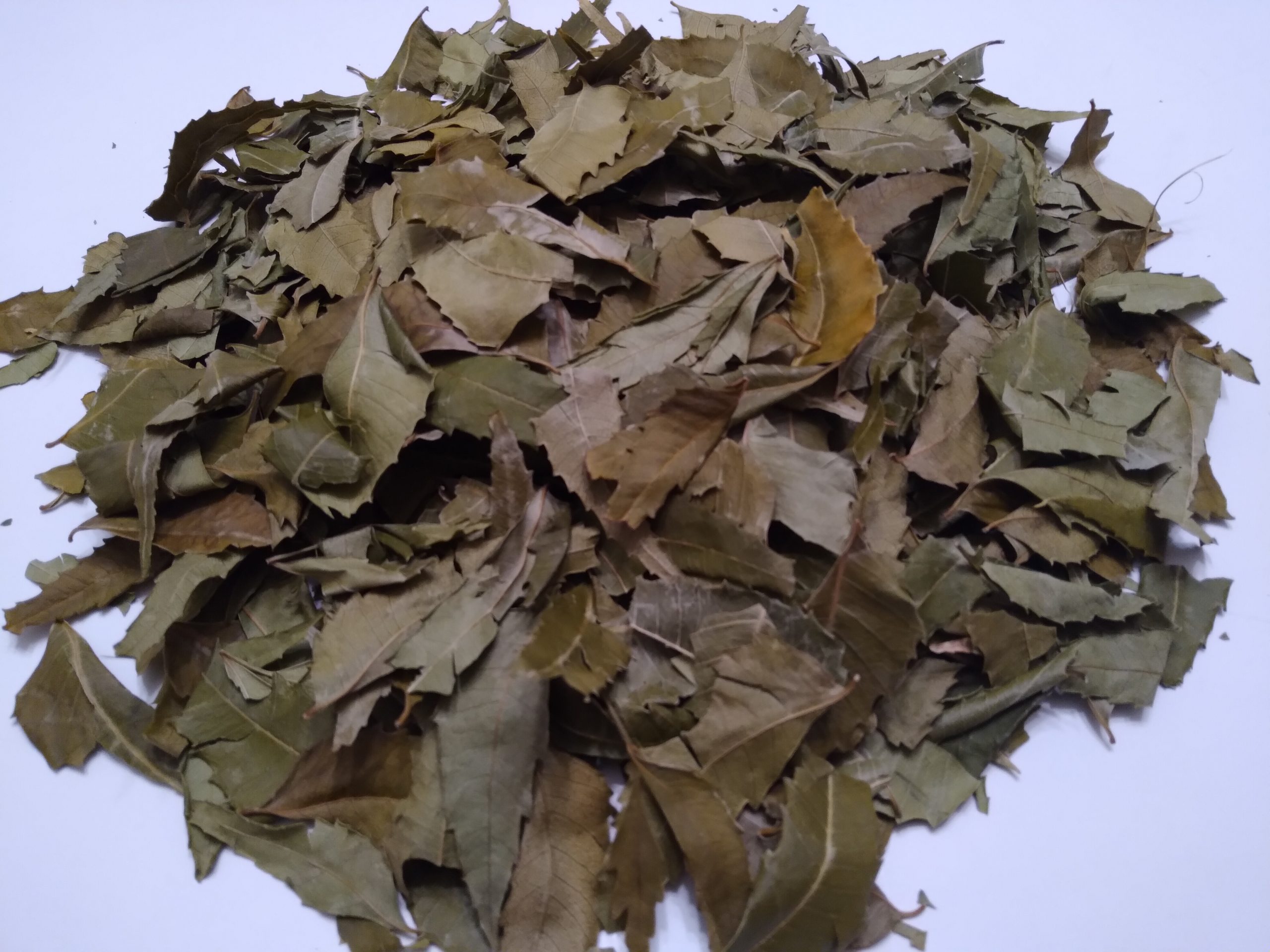 Dry Neem Leaves soon) Health Benefits U